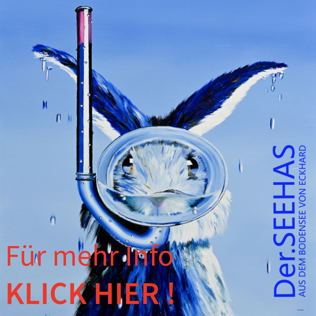 Der.SEEHAS Start-Bild